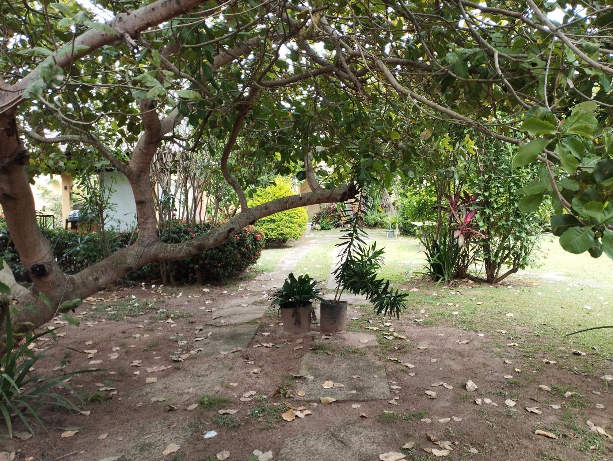 Lumiar Garden Suites E Chales Em Vilas Do Atlantico Lauro de Freitas Eksteriør billede