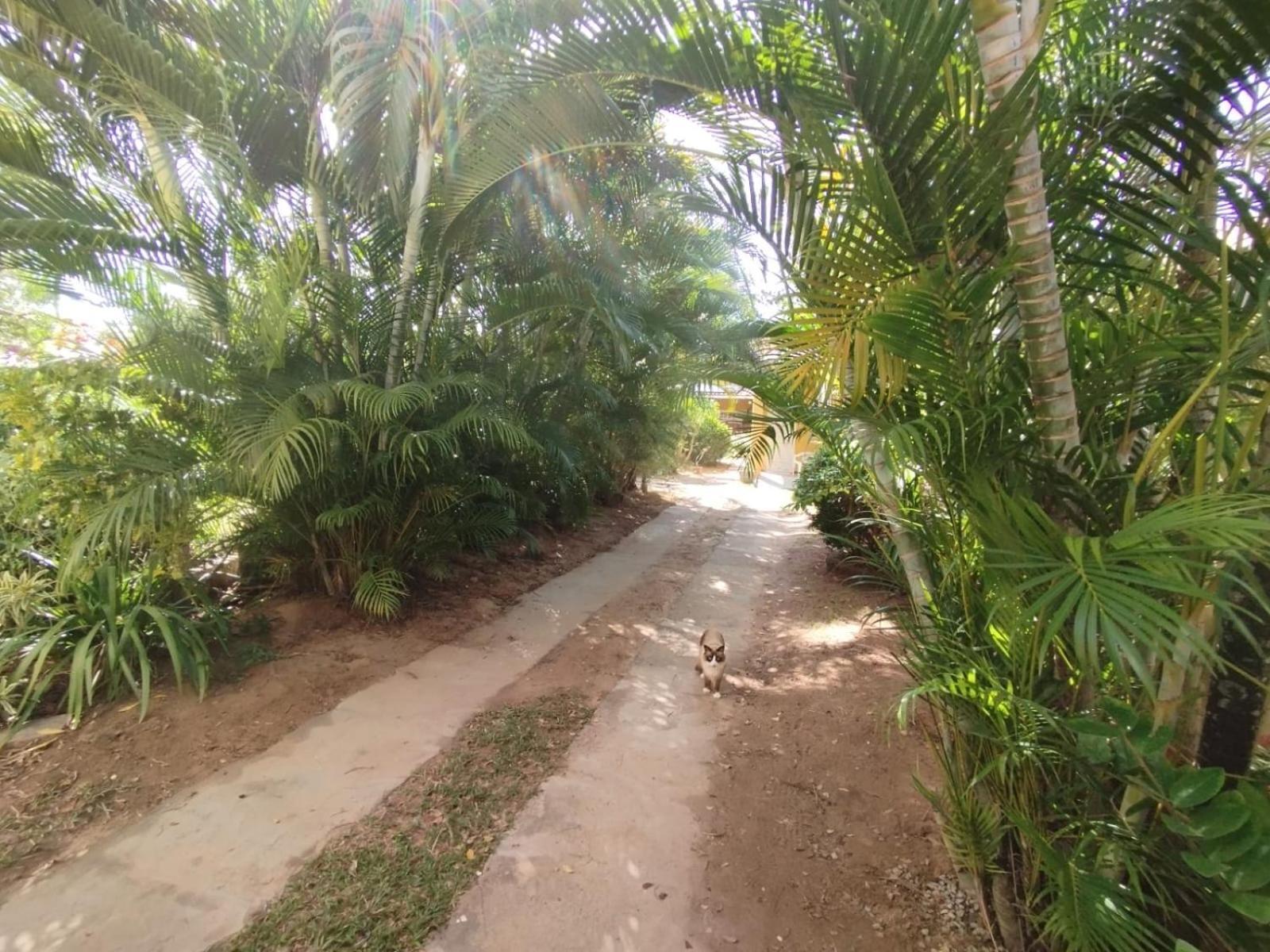 Lumiar Garden Suites E Chales Em Vilas Do Atlantico Lauro de Freitas Eksteriør billede