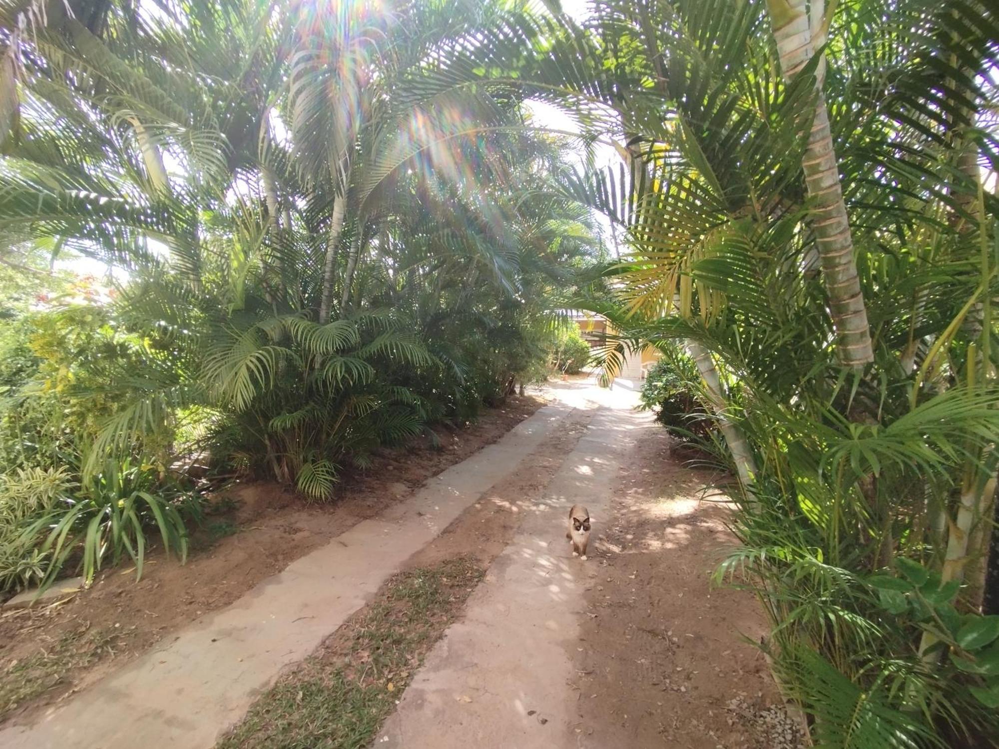 Lumiar Garden Suites E Chales Em Vilas Do Atlantico Lauro de Freitas Eksteriør billede